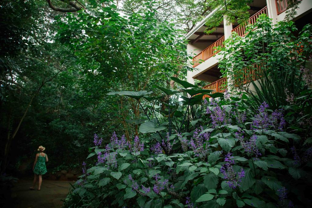 Honeywood Forest Lodge Port Shepstone Exterior foto