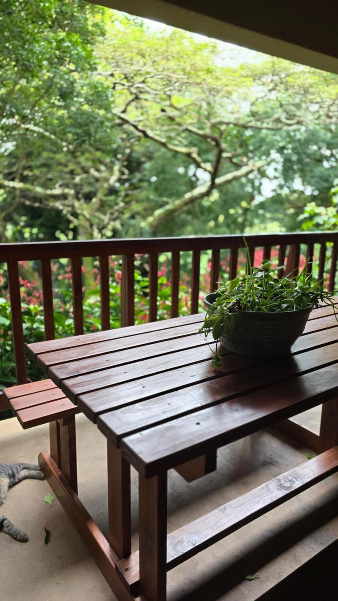 Honeywood Forest Lodge Port Shepstone Exterior foto